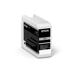 Epson 46V700 灰色墨水