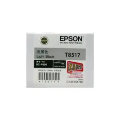 Epson T851 淺黑色墨水